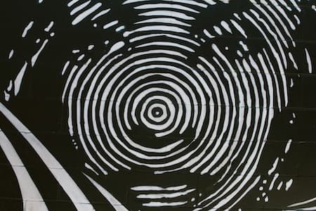 Fingerprinting